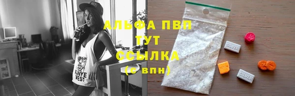 кокс Белокуриха