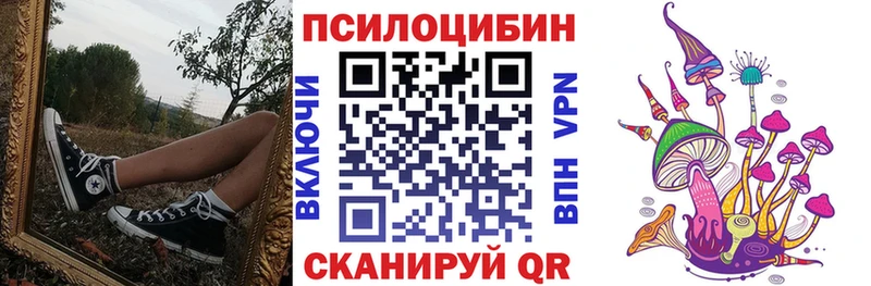Псилоцибиновые грибы Cubensis  Высоковск 